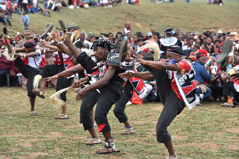 Bailarines zulúes interpretando la danza tradicional Indlamu en Sudáfrica.